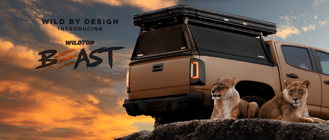 Wild Top: Scaling Profitably through Feed Optimizations